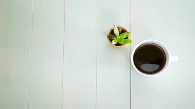 工作汇报的艺术