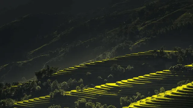写于人生的新起点,36岁。