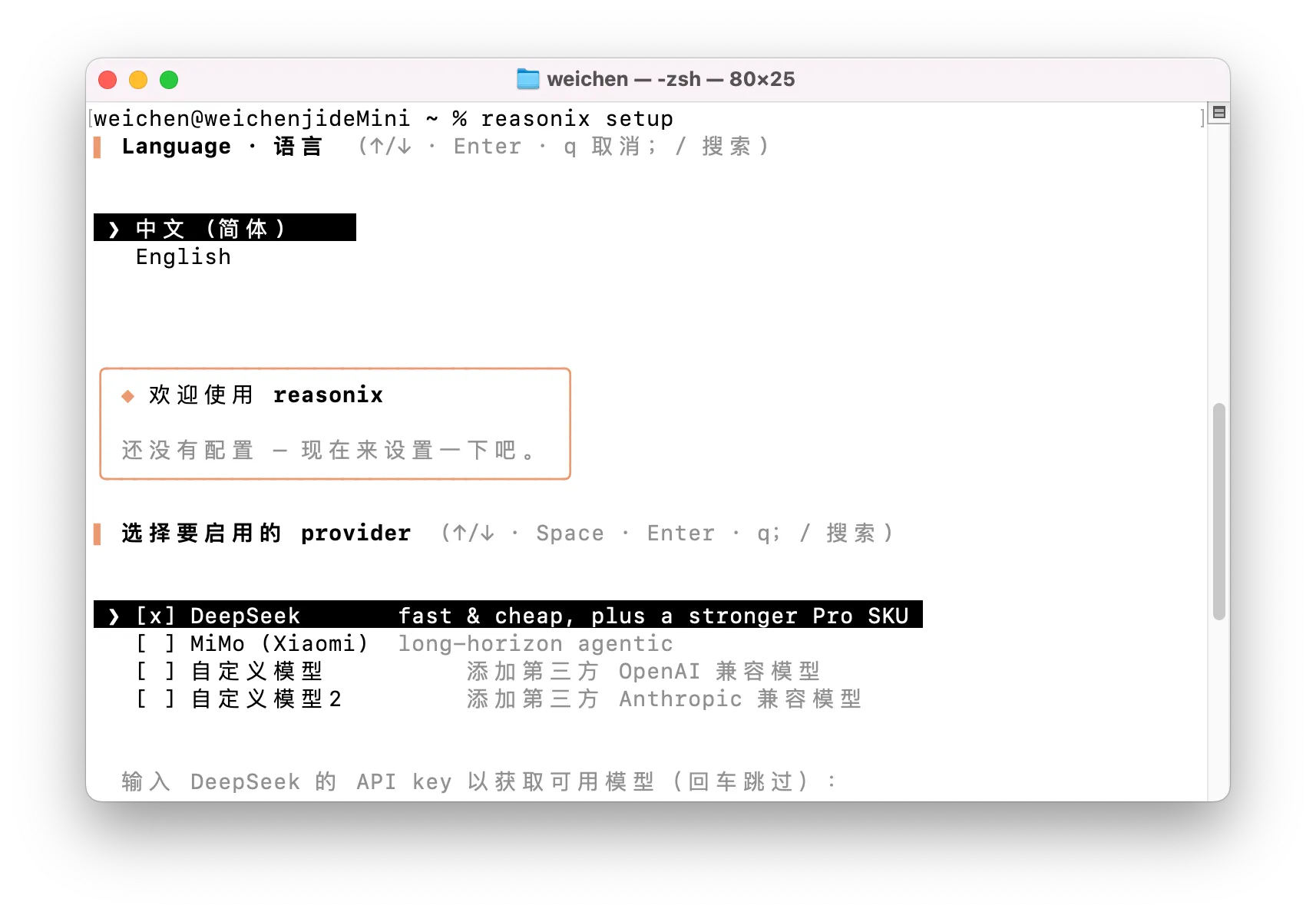 reasonix 配置页面.png